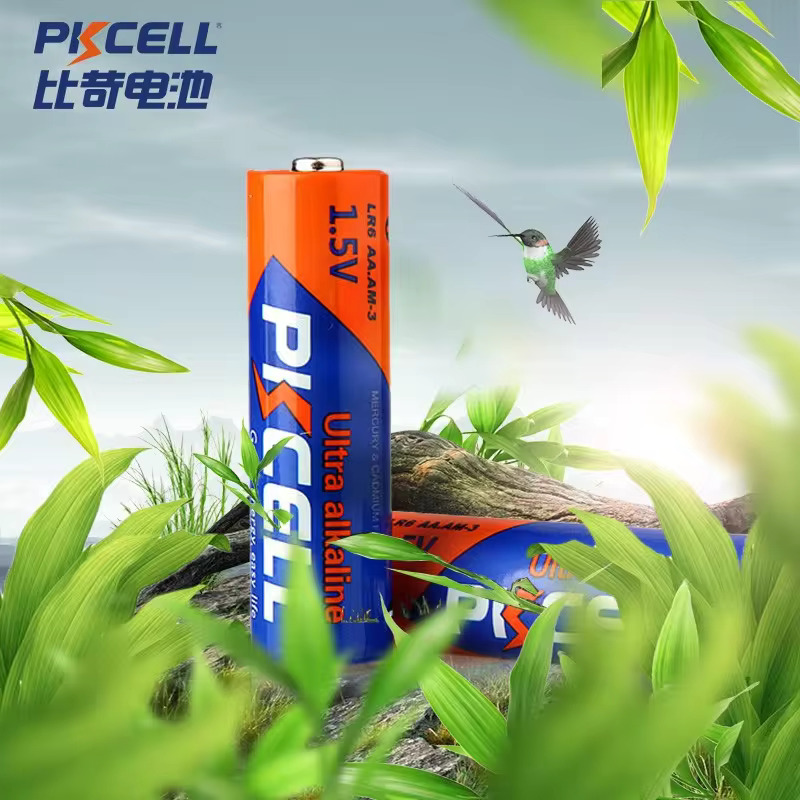 Alkaline Battery
